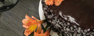My secret to the best vegan chocolate cake