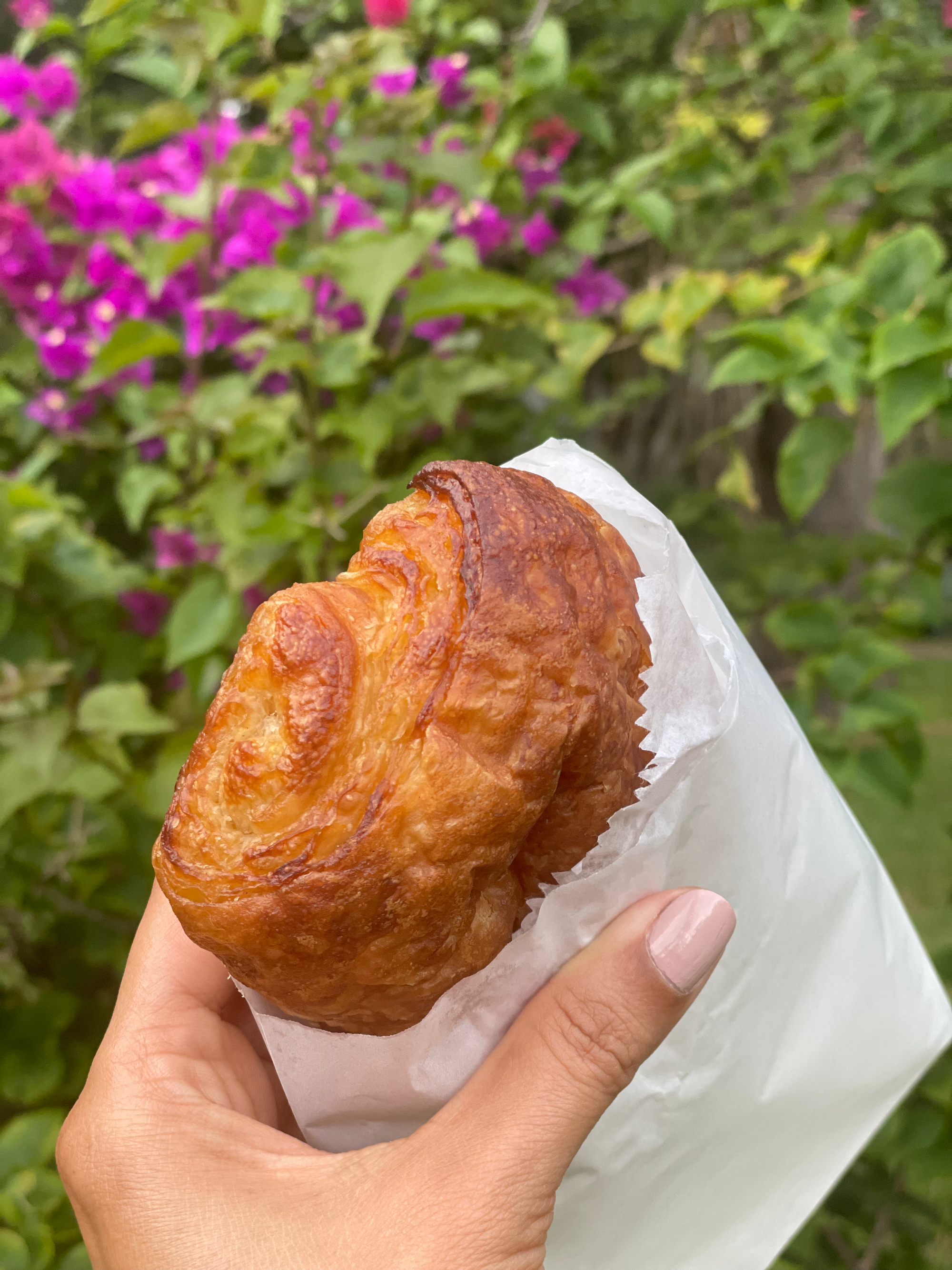 VEGAN CROISSANTS VARIETY BOX